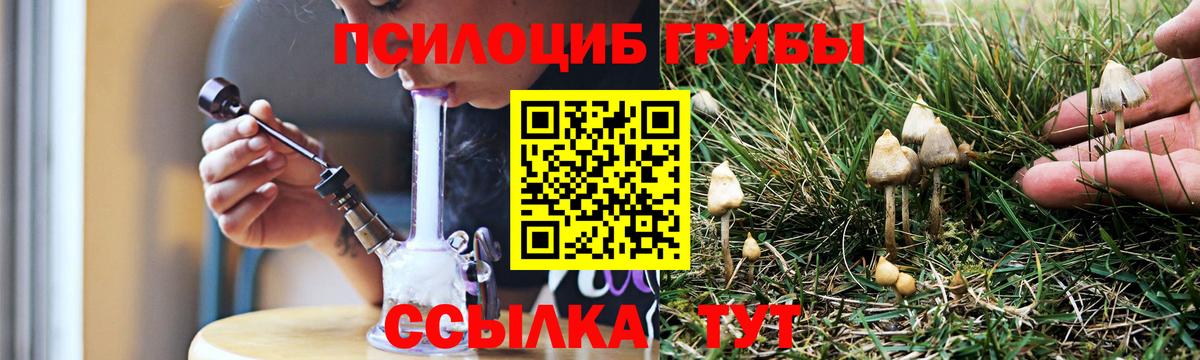 Усинск  наркота  Вход с VPN  Галлюциногенные грибы Psilocybe 